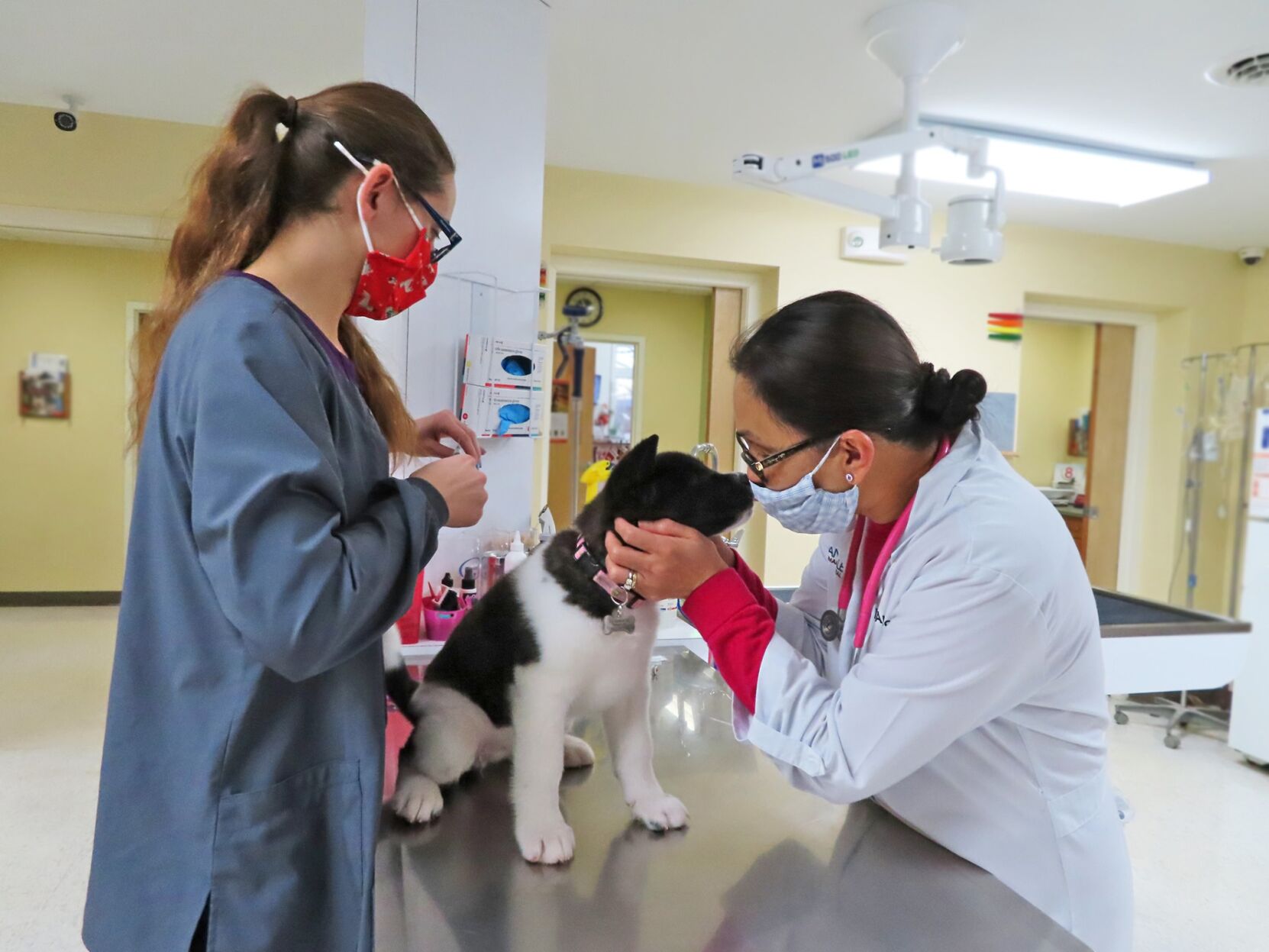 Devotion to patients